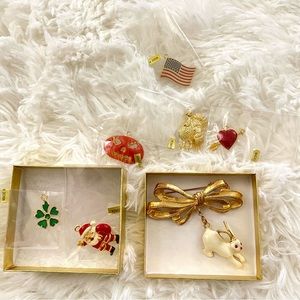 New phister ent 1996 interchangeable brooch holiday Easter valentines st pattys